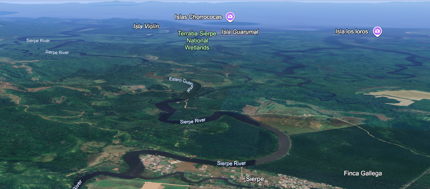 The Térraba-Sierpe Mangrove: A Journey into Costa Rica’s Largest Wetland